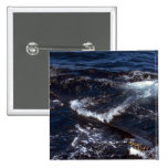 Humpback Whale Sounding (Tail Flukes) Button