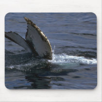 Humpback Whale Sounding (Tail Flukes) Mousepads