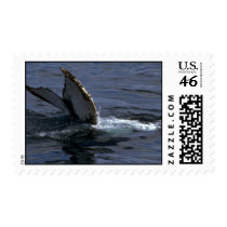 Humpback Whale Sounding (Tail Flukes) Postage Stamp