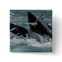 Humpback Whale Square Pin