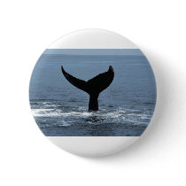 Humpback whale tail