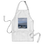 Humpback whale tail, Hawaii Aprons