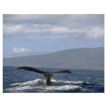 Humpback whale tail, Hawaii Personalized Flyer