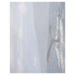 Humpback whale tail, Hawaii Custom Letterhead