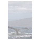 Humpback whale tail, Hawaii Customized Stationery