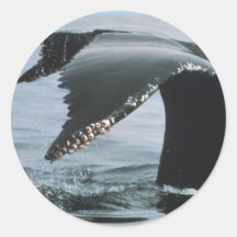 Humpback Whale Tail Sticker