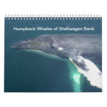 Humpback Whales of Stelwagen Bank Calendars