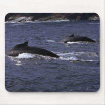 Humpback Whales-pair Mouse Pad
