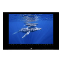 Humpback Whales Poster posters by oceanfutures Humpback Whales Poster posters