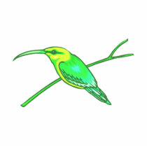 Humphrey Hummingbird photo sculptures