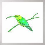 Humphrey Hummingbird Poster