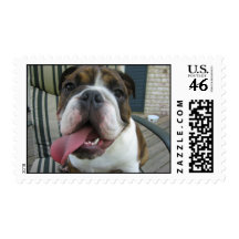 Humphrey Postage Stamp