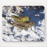 Humping Crickets Mouse Pad