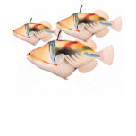 HumuHumu Fish t-shirts