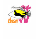 Humuhumunukunukuapua'a shirt