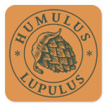 Humulus lupulus sticker square