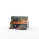 Hung Up Kitty Cards