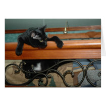Hung Up Kitty cards