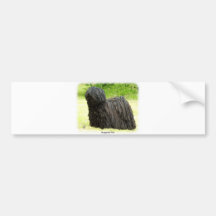 Hungarian Puli 8W48D-03 Bumper Sticker