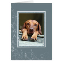 Hungarian Vizsla Blank Card 002