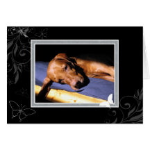 Hungarian Vizsla Blank Card 006