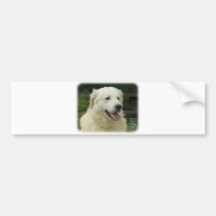 Húngaro Kuvasz 8W02-17 Etiqueta De Parachoque
