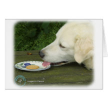 Húngaro Kuvasz 8W04D-12 Tarjeta