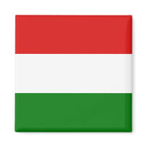 Hungary Flag Magnet by FlagAndMap Hungary Flag Magnet