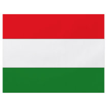 Hungary flyers by flagshirts Hungary flyers