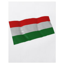 hungary custom flyer