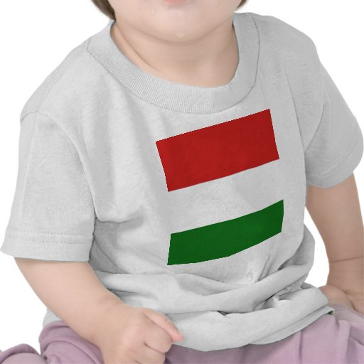 Hungary Hungarian flag Shirt