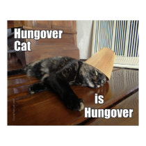 Hungover Tortoiseshell Cat Poster posters