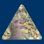Hungry Baby Gull Sticker stickers
