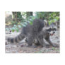 Hungry Baby Raccoon Postcard