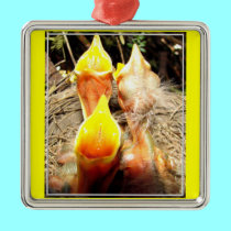 Hungry Baby Robins ornaments