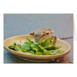 Hungry Bearded Dragon Greeting Cards