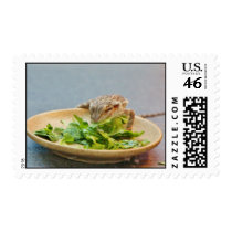 Hungry Bearded Dragon Postage Stamp