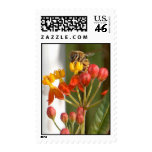 Hungry Bee Postage postage