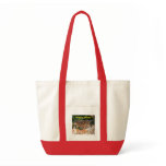 Hungry Birdie Bag