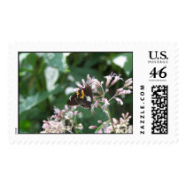 "HUNGRY BUTTERFLY" postage