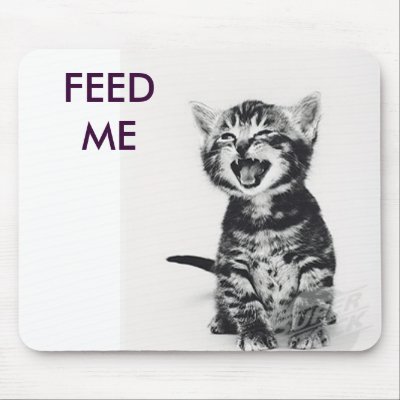 hungry_cat_mousepad-p144975781266165492envq7_400.jpg