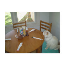 Hungry Cat postcards by April77 Hungry Cat postcards