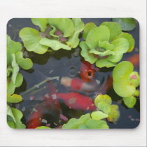Hungry Fish mousepads