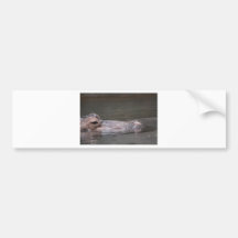 Hungry Hippo Bumper Stickers