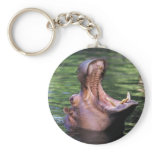 Hungry Hippo keychains