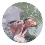 Hungry Hippo Mouth Photo Sticker