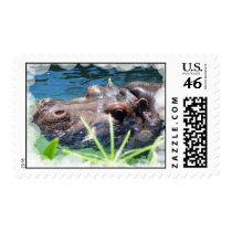 Hungry Hippo Postage Stamp