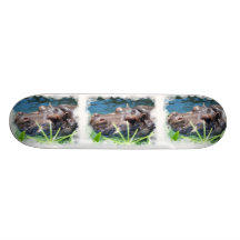 Hungry Hippo Skateboard
