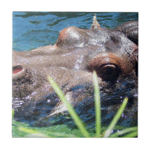 Hungry Hippo Tile