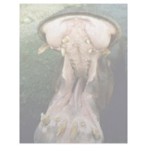Hungry hippopotamus personalized letterhead
